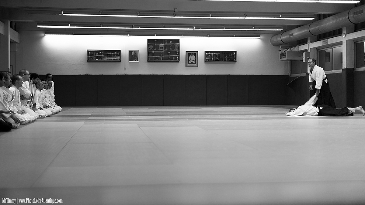 aikido_saint_nazaire_club_photographe_monsieur_timmy_mrtimmy_projection_demonstration_explication
