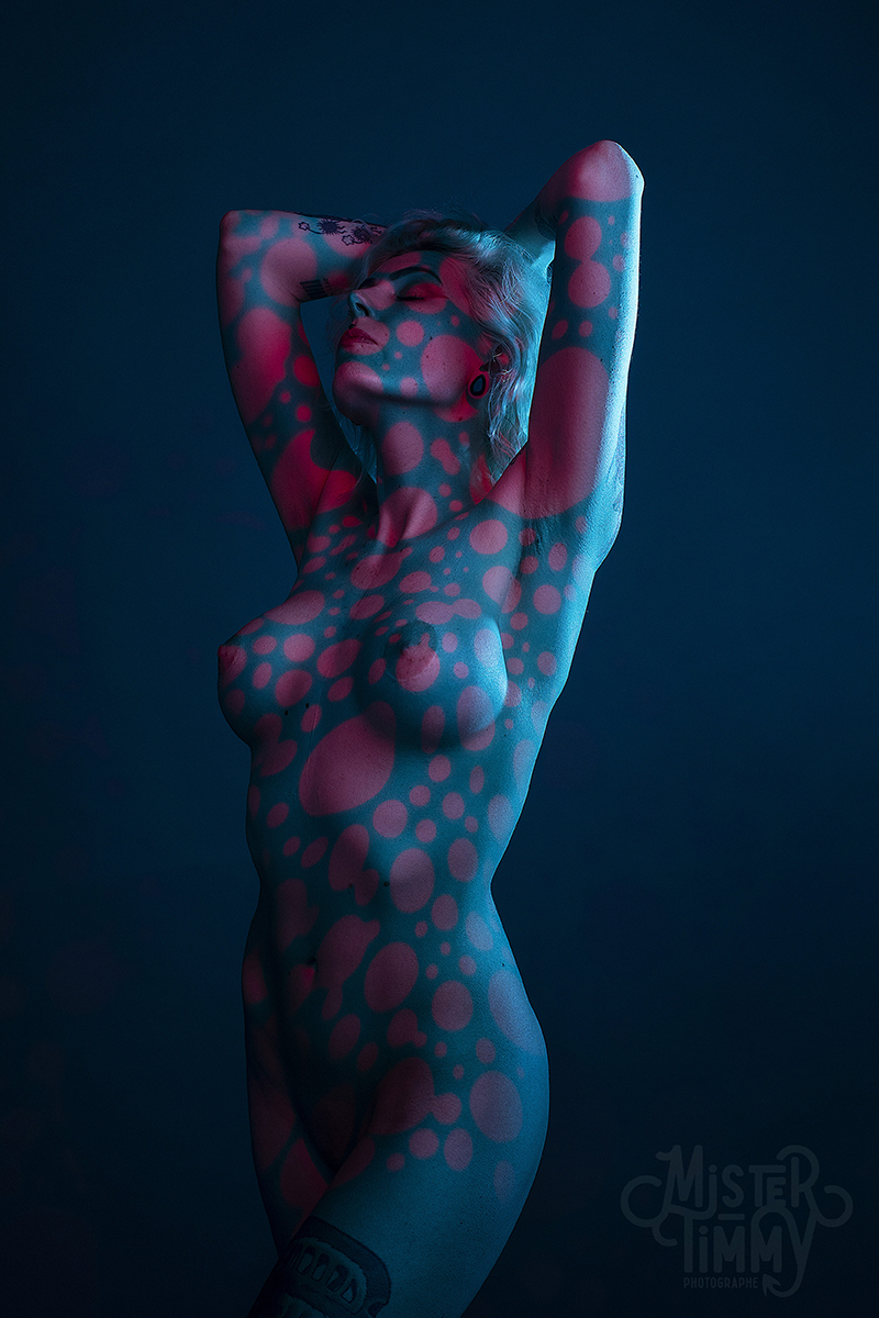 nu_photo_studio_loireatlantique_mrtimmy_photographe_pro_saintnazaire_artistique_sexy_boudoir_elegant_not_body_painting